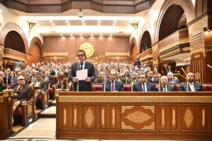 مجلس الشيوخ يوافق نهائيا على مشروع قانون المسؤلية الطبية وحماية المريض - 7 - سيناء الإخبارية