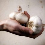 مضغ الثوم على الريق بشكل يومي منتظم يعزيز جهاز المناعة للوقاية من الأمراض - 1 - سيناء الإخبارية