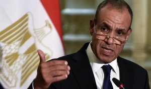 وزير الخارجية: مصر دحرت الإرهاب بتفكيك الأيدلوجية المتطرفة و قطع التمويل عن التنظيمات الإرهابية - 1 - سيناء الإخبارية