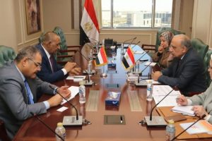 وزير الكهرباء يؤكد على الحرص على تعزيز التعاون مع السودان لتحقيق الأمن الطاقي في المنطقة - 5 - سيناء الإخبارية