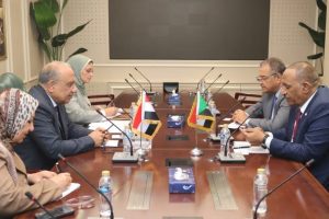 وزير الكهرباء يؤكد على الحرص على تعزيز التعاون مع السودان لتحقيق الأمن الطاقي في المنطقة - 3 - سيناء الإخبارية