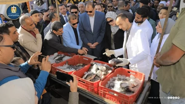 وزارة التنمية المحلية تدعم مبادرة "سوق اليوم الواحد" لتوفير السلع بأسعار تنافسية.. صور - 3 - سيناء الإخبارية