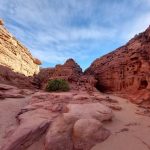 جنوب سيناء: لوحة فنية طبيعية تجمع بين صحراء النقب الساحرة ووديان نويبع الخلابة - 8 - سيناء الإخبارية جنوب سيناء: لوحة فنية طبيعية تجمع بين صحراء النقب الساحرة ووديان نويبع الخلابة - 7 - سيناء الإخبارية