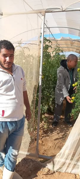 الإدارة الزراعية بمدينة دهب تنفذ حملة شاملة لحصر الأراضي الزراعية لتعزيز الإنتاجية وتقليل التكاليف - 3 - سيناء الإخبارية