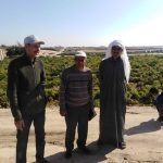 وحدة السبيل الزراعية بإدارة العريش تُحدث بيانات الزراعات وترفع إحداثيات الأراضي - 3 - سيناء الإخبارية