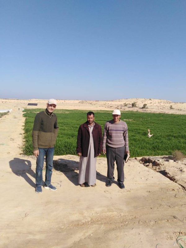 وحدة السبيل الزراعية بإدارة العريش تُحدث بيانات الزراعات وترفع إحداثيات الأراضي - 5 - سيناء الإخبارية
