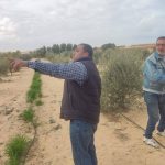 إدارة العريش الزراعية تجري جولة تفقدية في الحقول لدعم المزارعين وتعزيز الإنتاج - 1 - سيناء الإخبارية