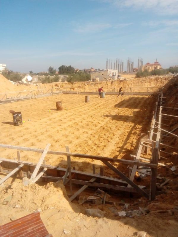 مديرية الزراعة تنفذ حملة مكافحة شاملة للنمل الأبيض في مدرسة سليمان صالح بمركز الشيخ زويد - 3 - سيناء الإخبارية