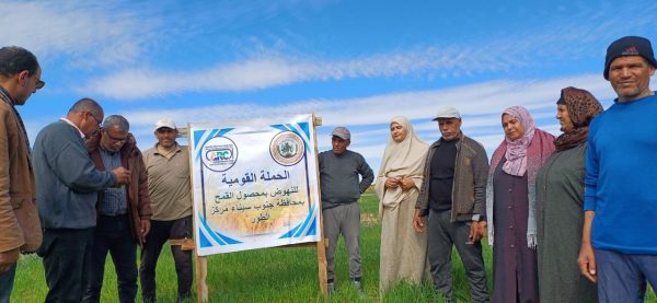 مديرية الزراعة بجنوب سيناء تنظم قافلة إرشادية لدعم زراعة القمح بوادي الطور - 3 - سيناء الإخبارية