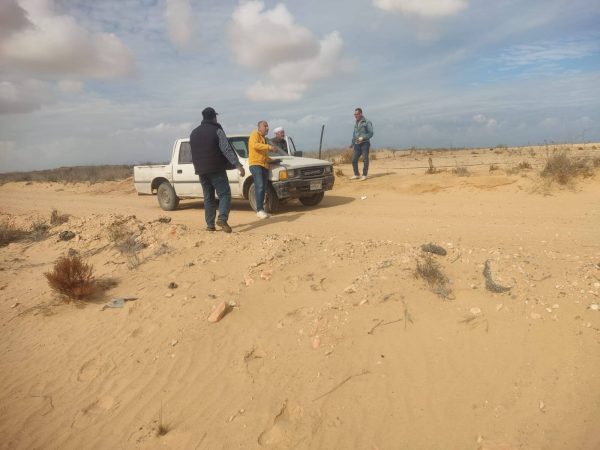 إدارة العريش الزراعية تجري جولة تفقدية في الحقول لدعم المزارعين وتعزيز الإنتاج - 5 - سيناء الإخبارية