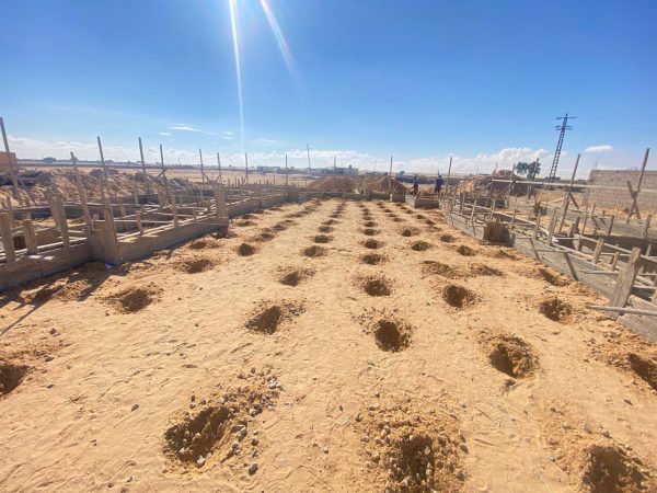 مديرية الزراعة بشمال سيناء تنفذ حملة مكافحة للنمل الأبيض في مدارس رفح - 5 - سيناء الإخبارية