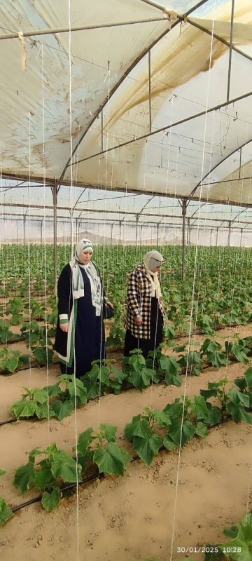 مديرية الزراعة بشمال سيناء تكثف جولاتها الميدانية لدعم المزارعين ومعالجة مشكلات المحاصيل - 1 - سيناء الإخبارية