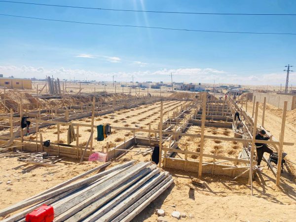 مديرية الزراعة بشمال سيناء تنفذ حملة مكافحة للنمل الأبيض في مدارس رفح - 7 - سيناء الإخبارية