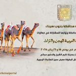 اليوم انطلاق مهرجان الهجن والتراث في شرم الشيخ.. احتفاء بالتراث البدوي وتعزيز السياحة الثقافية - 7 - سيناء الإخبارية