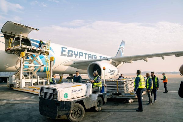 مصر للطيران تنقل الخيول المصرية إلى بطولة قطر الدولية للفروسية 2025 ..صور - 5 - سيناء الإخبارية