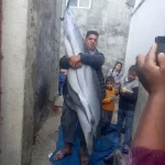 الجوع في غزة يدفع السكان لصيد الكائنات البحرية المحمية وسط انتقادات دولية - 11 - سيناء الإخبارية