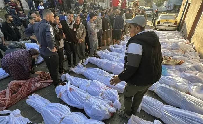دراسة جديدة تكشف: حصيلة قتلى غزة تتجاوز أرقام وزارة الصحة بنسبة 40% - 3 - سيناء الإخبارية