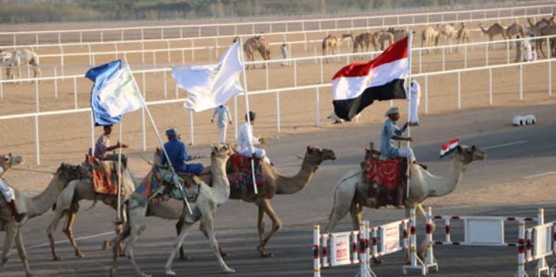 مهرجان شرم الشيخ للهجن.. وجهة للسياحة الثقافية ومحبي التراث العربي - 3 - سيناء الإخبارية