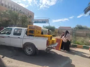 احتفالية لتوزيع مشروعات تربية الدواجن على المرأة المعيلة بمدينة الطور مجانًا - 3 - سيناء الإخبارية