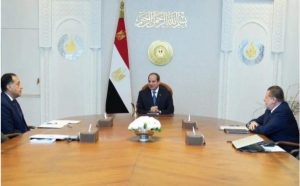 السيسى يوجه بضرورة مُواكبة التطورات التكنولوجية المُتسارعة المتعلقة بالخدمات المصرفية الرقمية - 1 - سيناء الإخبارية