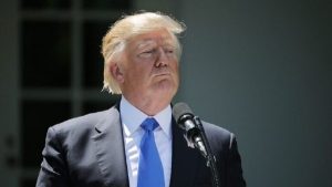 ترامب يؤكد أنه يرغب في لقاء الرئيس الروسي فلاديمير بوتين قريبًا لإنهاء الحرب في أوكرانيا - 1 - سيناء الإخبارية