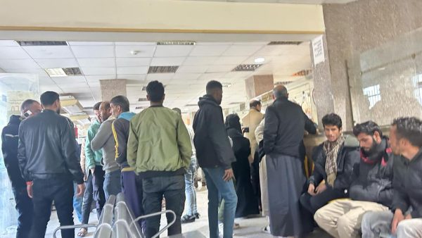 إقبال جماهيري واسع على توكيلات حزب الجبهة الوطنية في شمال سيناء - 7 - سيناء الإخبارية
