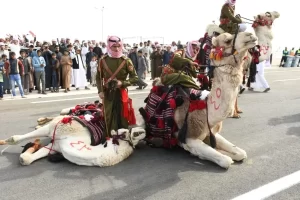 ختام فعاليات البطولة العربية والمهرجان العربي للهجن والتراث بشرم الشيخ - 5 - سيناء الإخبارية