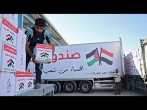 دخول عشرات الشاحنات محملة بمساعدات إنسانية إلى قطاع غزة - 3 - سيناء الإخبارية