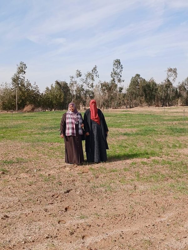 جهود مكثفة من إدارة الزراعة بـ طور سيناء لمتابعة محصول القمح وتقديم الدعم الفني للمزارعين - 5 - سيناء الإخبارية