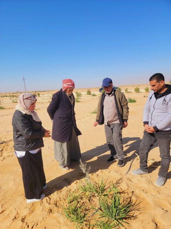 لجنة زراعية بشمال سيناء تتصدى لانتشار القوارض والآفات في تجمع بغداد وقرية أم شيحان - 1 - سيناء الإخبارية