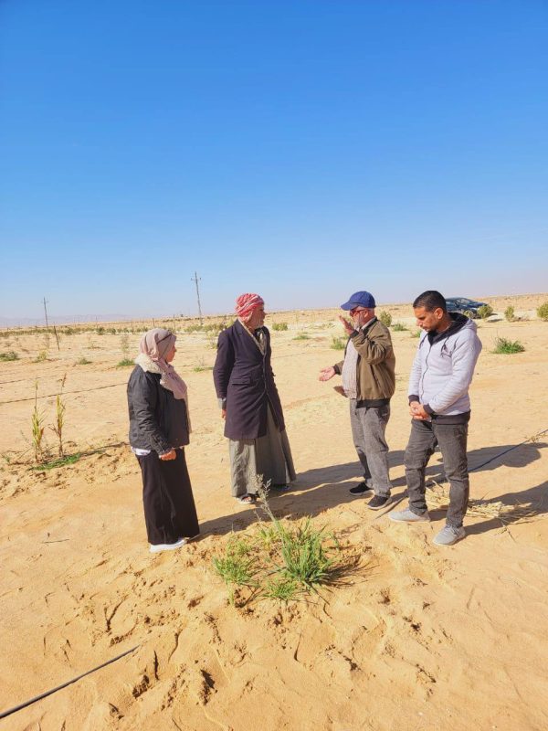لجنة زراعية بشمال سيناء تتصدى لانتشار القوارض والآفات في تجمع بغداد وقرية أم شيحان - 3 - سيناء الإخبارية