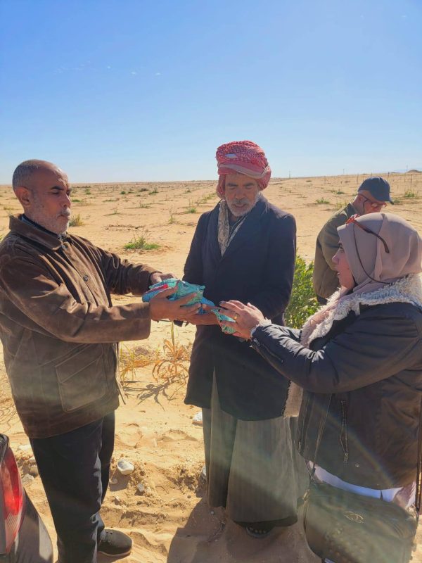 لجنة زراعية بشمال سيناء تتصدى لانتشار القوارض والآفات في تجمع بغداد وقرية أم شيحان - 7 - سيناء الإخبارية