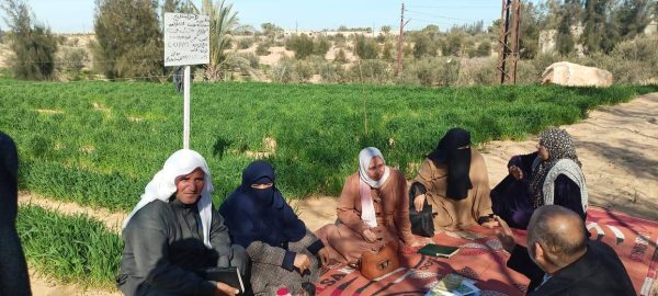 مديرية الزراعة بشمال سيناء تنظم ندوة تدريبية في بئر العبد للنهوض بمحصول القمح - 3 - سيناء الإخبارية