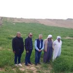 زراعة شمال سيناء تنظم ندوة حقلية وتدريبًا مكثفًا بقرى الشيخ زويد حول زراعة الشعير - 1 - سيناء الإخبارية