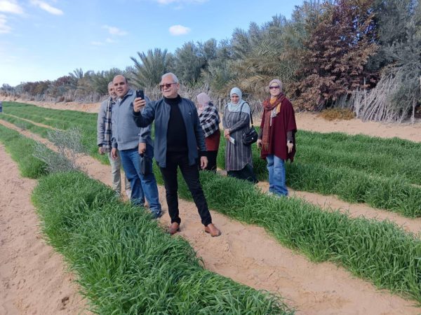 قرية السكاسكة تستضيف ندوة حقلية ويومًا تدريبيًا حول زراعة الشعير بشمال سيناء - 3 - سيناء الإخبارية