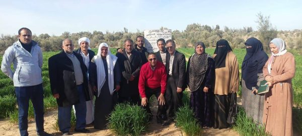 مديرية الزراعة بشمال سيناء تنظم ندوة تدريبية في بئر العبد للنهوض بمحصول القمح - 5 - سيناء الإخبارية