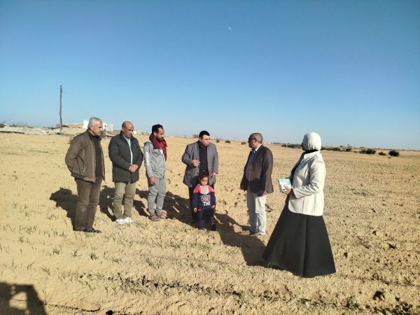 مديرية الزراعة بشمال سيناء تتابع 81 فدانًا من الشعير و47 فدانًا من الزيتون في قرية المهدية - 1 - سيناء الإخبارية