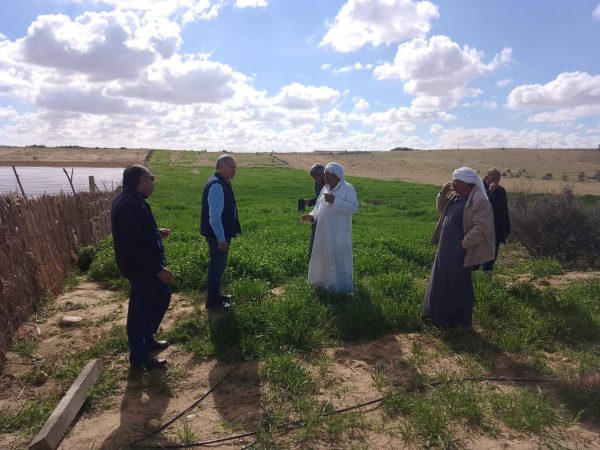 زراعة شمال سيناء تنظم ندوة حقلية وتدريبًا مكثفًا بقرى الشيخ زويد حول زراعة الشعير - 3 - سيناء الإخبارية