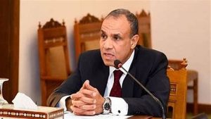 عبد العاطي يوجه بمتابعة أوضاع الجالية المصرية في لوس أنجلوس والمدن المجاورة بولاية كاليفورنيا - 3 - سيناء الإخبارية