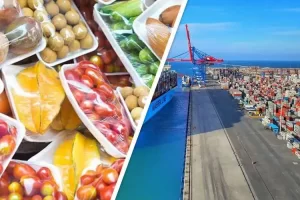 قطاع الصناعات الغذائية يحقق طفرة قوية فى زيادة حجم الصادرات قرابة 5.5 مليار دولار - 3 - سيناء الإخبارية