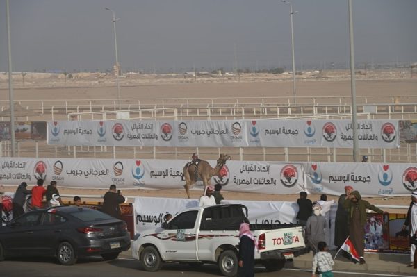 محافظ جنوب سيناء يتابع فعاليات اليوم الأول لسباقات الهجن ويشدد على دعم الاقتصاد المحلي وتطوير التراث - 13 - سيناء الإخبارية