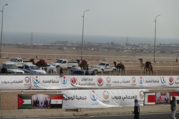 محافظ جنوب سيناء يتابع فعاليات اليوم الأول لسباقات الهجن ويشدد على دعم الاقتصاد المحلي وتطوير التراث - 7 - سيناء الإخبارية
