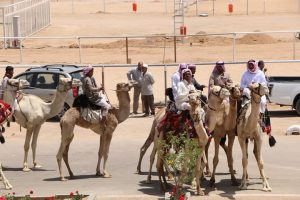 محافظ جنوب سيناء يعلن عن استعدادات شرم الشيخ للاحتفال بتنظيم المهرجان العربي للهجن والتراث - 1 - سيناء الإخبارية