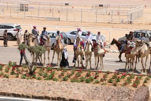 محافظ جنوب سيناء يعلن عن استعدادات شرم الشيخ للاحتفال بتنظيم المهرجان العربي للهجن والتراث - 7 - سيناء الإخبارية