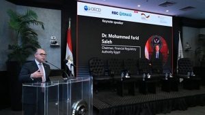 محمد فريد يشارك في مناقشات موسعة بشأن قضايا التنمية المستدامة والنمو الاقتصادي والاندماج الاجتماعي - 1 - سيناء الإخبارية