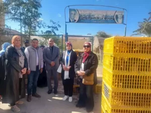 مديرية الزراعة بجنوب سيناء تنظم احتفالية لتوزيع مشروعات تربية الدواجن بمدينة الطور - 11 - سيناء الإخبارية