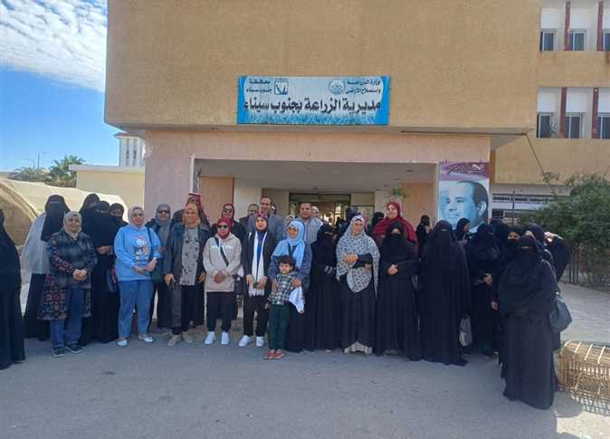 مركز بحوث الصحراء يدعم 30 أسرة بمحافظة جنوب سيناء بمشروعات الدجاج البياض - سيناء الإخبارية