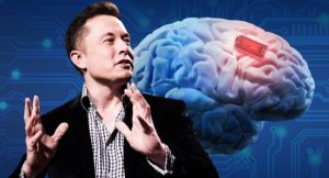 نجاح شركة نيورالينك Neuralink في زرع شريحة دماغية في شخص ثالث - 1 - سيناء الإخبارية