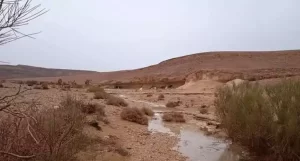 هضاب جنوب سيناء مقصد سياحي هام للسياح من محبي الهدوء والاسترخاء والتأمل والمغامرة - 5 - سيناء الإخبارية