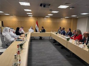وزير الصحة يلتقي وزير صحة دولة قطر لبحث سبل تعزيز التعاون وتبادل الخبرات بين الدولتين - 5 - سيناء الإخبارية